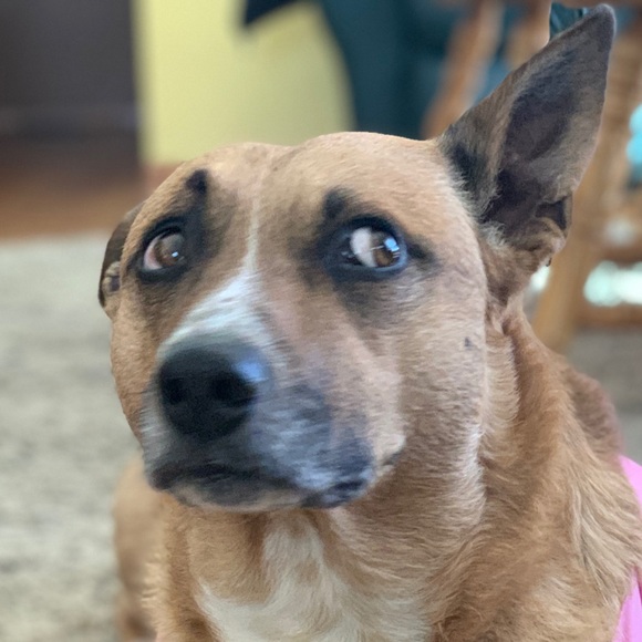 Meet your Posher, Marianna - Picture 1 of 1